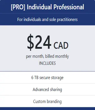 [PRO] Individual Professional